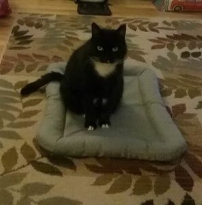 Meet your Posher, Jean